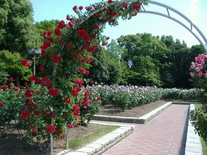 庄内緑地公園