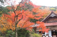 聖宝寺　もみじ祭が終わり駐車は楽々だわ 2013/11/30 16:26:14